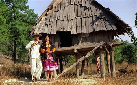 Aprender Acerca Imagen Imagenes De Casas Indigenas Abzlocal Mx