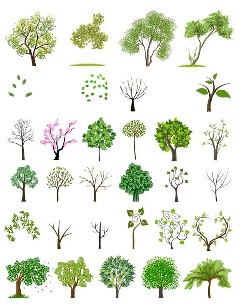 Tree Collection Ai Royalty Free Stock Vector Images