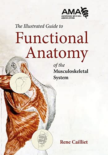 Functional Anatomy