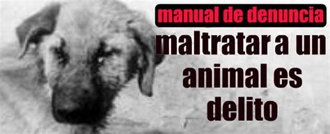 EL MALTRATO ANIMAL: CONSECUENCIAS DEL MALTRATO ANIMAL