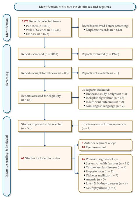 Diagnostics Free Full Text Deep Learning Algorithms For Screening