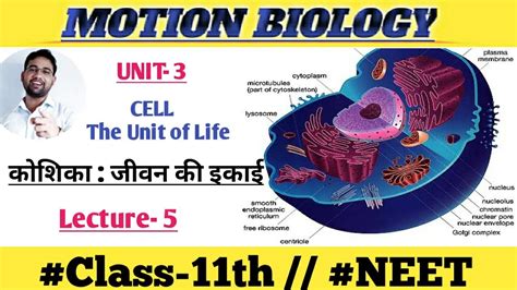 Motion Biology Cell The Unit Of Life कोशिकाजीवन की इकाई Class