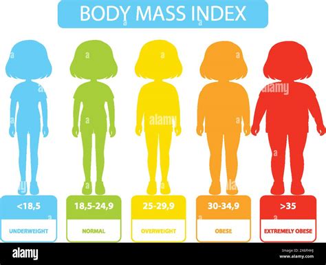 Illustration of BMI categories and ranges Stock Vector Image & Art - Alamy