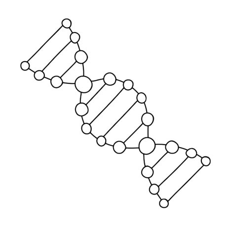 Premium Vector Dna Molecule Doodle Sketch Spiral Hand Drawn Illustration