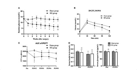 Bd Improved Glucose Homeostasis A Random Blood Glucose Rbg Curves