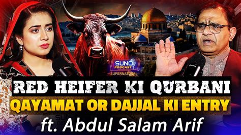 Red Heifer Ki Qurbani Qayamat Ki Nishani Supernatural Podcast Part