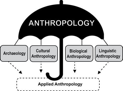 Introduction To Biological Anthropology Explorations An Open