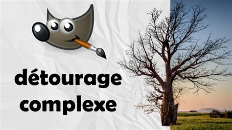 Comment détourer une image complexe rapidement et simplement sur Gimp