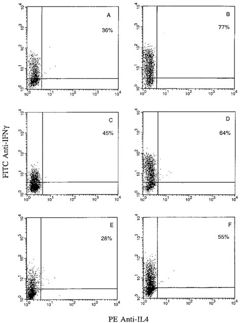 Two Color Flow Cytometric Analysis Of Intracellular Ifn And Il 4