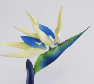 cây trúc giả PU tay cảm nhận Bird of Paradise mô phỏng Strelitzia ...