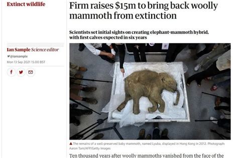 Firm Raises 15 Million To Bring Woolly Mammoth Back To Life Time News