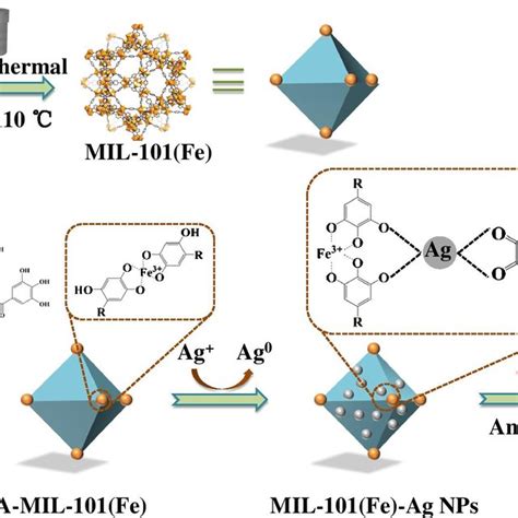 Schematic Illustration Of The Mofs Agnps Synthesis And The Sers