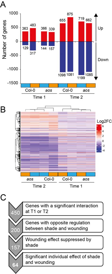 Shade Regulated Gene Expression In Petioles A Number Of Genes