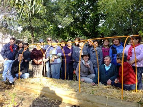 Ilustre Municipalidad De Panquehue ACTIVA PARTICIPACION DE USUARIOS