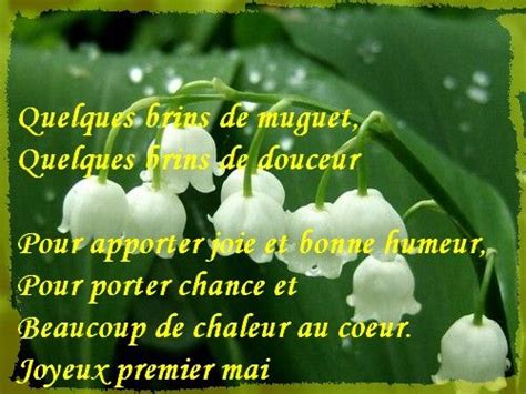 Pingl Par Nadine Grassart Sur Enregistrements Rapides Photo Muguet