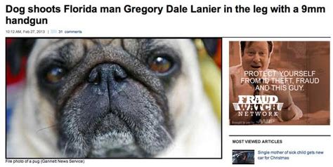 24 Most Insane Florida News Headlines Of All Time Wtf Gallery EBaum