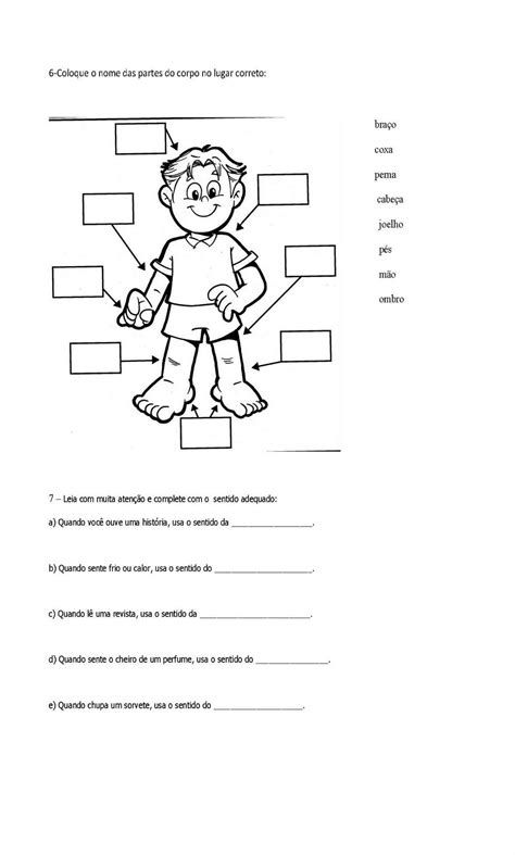 Estudo Do Meio 2 Ano