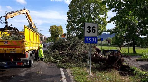 Maltempo Alberi Caduti In Varie Zone E Un Sottopasso Allagato A