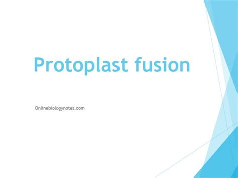 Protocol for Protoplast fusion - Online Biology Notes