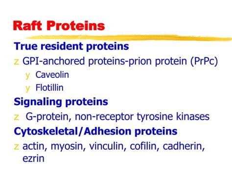 Lipid Rafts An Overview Ppt