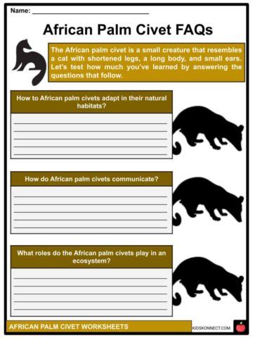 African Palm Civet Facts, Worksheets, Taxonomy & Characteristics For Kids