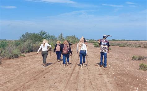 Colectivo De Buscadoras Localiza Ocho Fosas Clandestinas En El Sur De