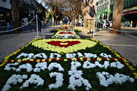 Festa Da Flor Flower Festival Fiesta De La Flor Fête De La Fleur