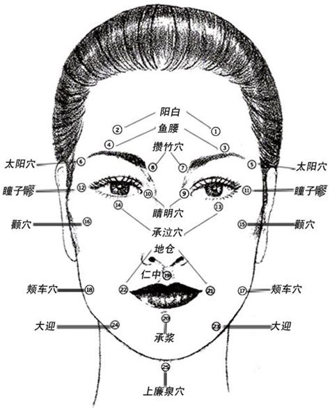 Face Acupuncture Points Chart