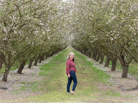 How to Experience California's Blooming Almond Orchards