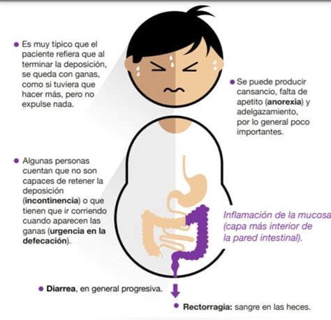 Qu Es La Enfermedad De Crohn Causas Diagn Stico Y Tratamiento