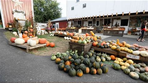 Amish Pumpkin Farm Ultimate Fall Visit In Amish Country Lancaster