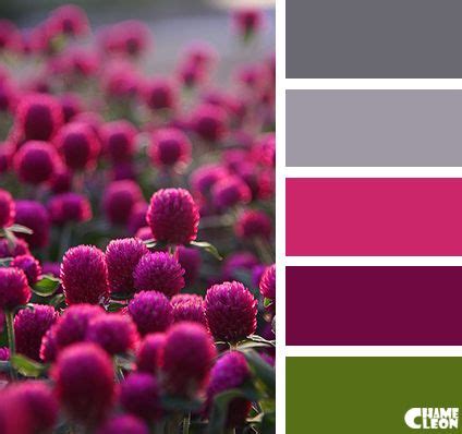 CHAMELEON. Color Palette. | Color combinations paint, Color balance, Color harmony