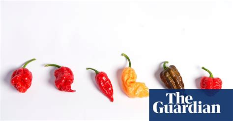 What Is The Hottest Pepper In The World On The Scoville Scale Img Cahoots