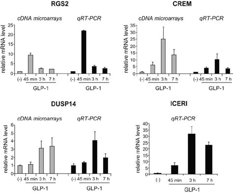 Glp Induction Of Rgs Crem Dusp And Iceri In A Cell Line