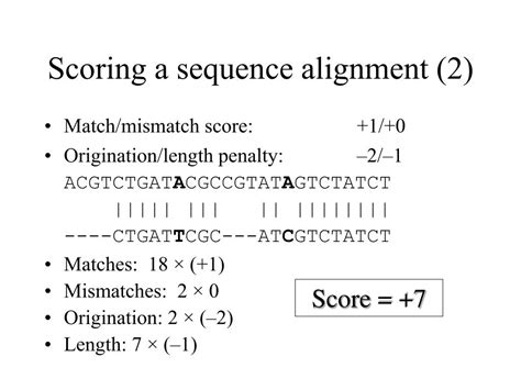 Ppt Sequence Alignments Powerpoint Presentation Free Download Id