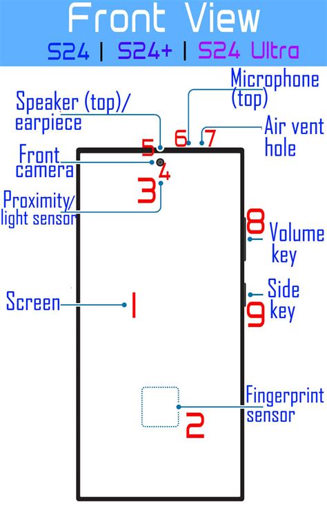 Layout Of Galaxy S24 Galaxy S24 And Galaxy S24 Ultra Samsung