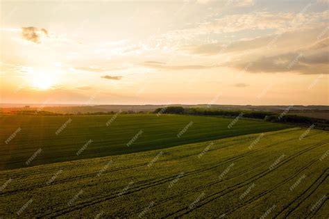 Premium Photo Aerial View Of Bright Green Agricultural Farm Field