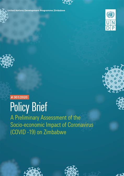 A Preliminary Assessment Of The Socio Economic Impact Of Coronavirus