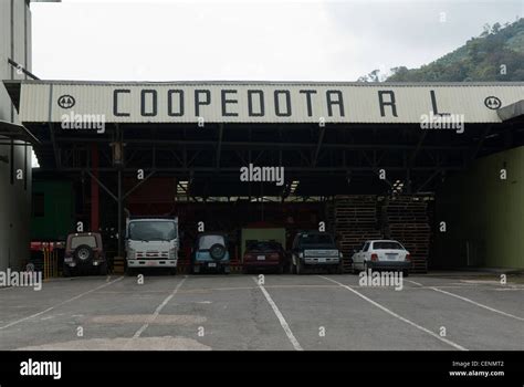 Coopedota Coffee Cooperative Copey De Dota Costa Rica Stock Photo