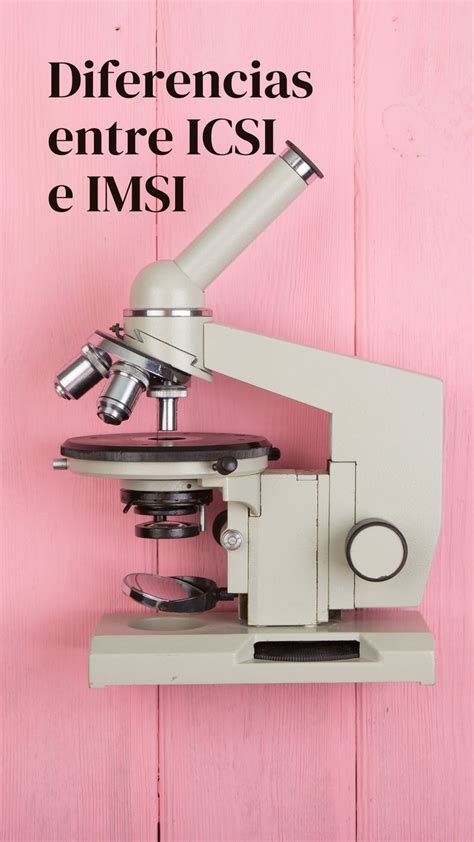 Tanto El Icsi Como El Imsi Son T Cnicas Complementar As A La