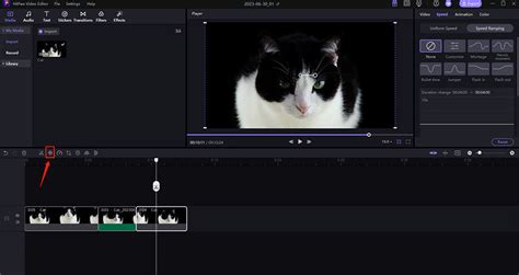 Os 5 Métodos Comprovados Como Congelar Quadros no Premiere Pro