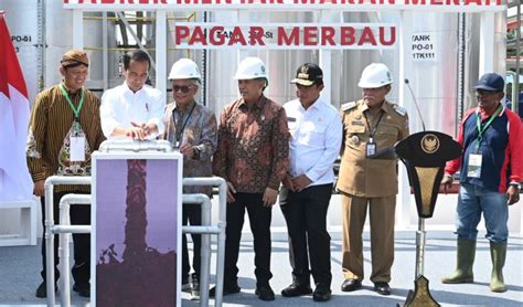 Jokowi Resmikan Pabrik Percontohan Minyak Makan Merah Pertama Di