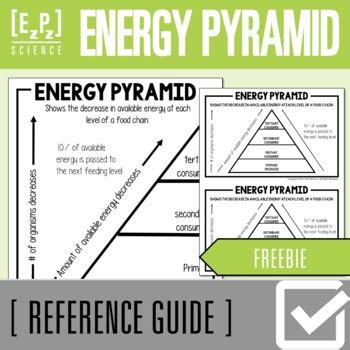 Energy Pyramid Science Poster Anchor Chart And Reference Guide By Ezpz