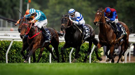 花旗銀行香港金盃麥道朗對浪漫勇士寄予厚望 花旗銀行香港金盃 2024 香港賽馬會