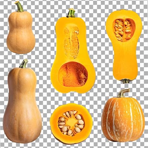 Premium Psd Set Butternut Squash On Isolated Transparent Background