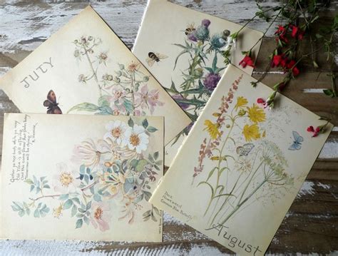 Nature Notes Of Edith Holden Pack Vintage Book Pages Etsy Edith