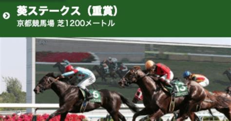 523土地方厳選‼️鉄板軸馬 1レース🏇最適軸馬 3レース🏇高知競馬佐賀競馬・買い目公開‼️｜jun｜note