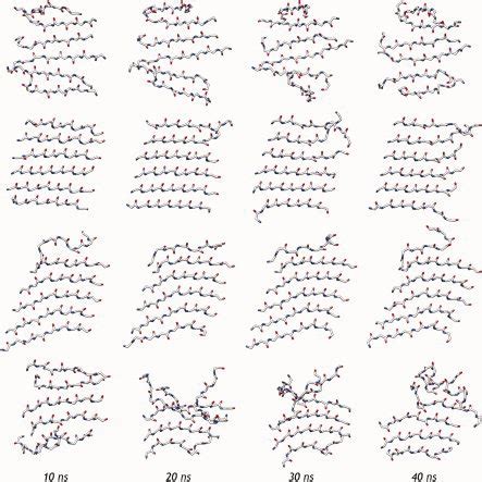 Hydrophobic packing of the glutamine side-chain carbons in α- (left ...