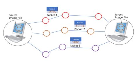 Tcp Packet Anatomy