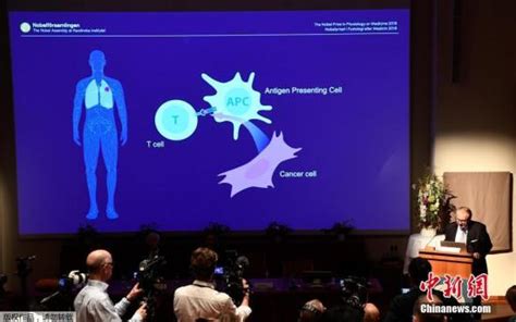 2018年诺贝尔生理学或医学奖揭晓 美日两名科学家获奖 美国